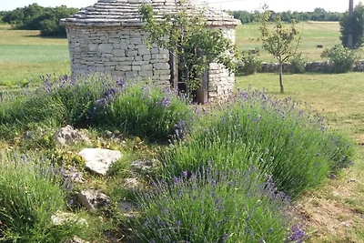 Authentic Istrian Rooms for Unforgettable Sta...