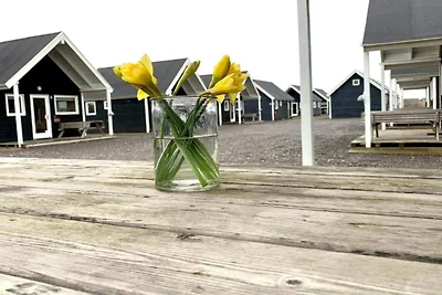 4 Sterne Ferienhaus in Thyborøn