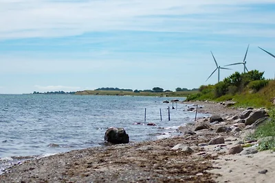 3 Personen Ferienhaus in Tranekær