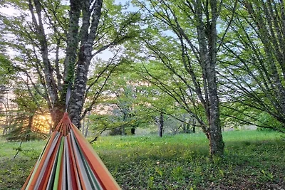 Wohnung in Les Eyzies nahe Font-de-Gaume