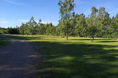 4 person holiday home in Holmsjö-By Traum