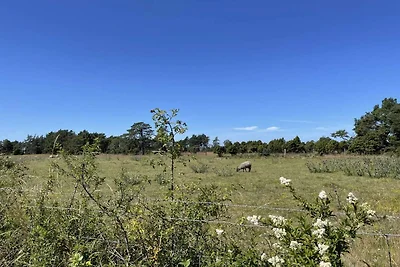 4 Sterne Ferienhaus in Fårö