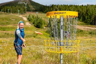 8 Personen Ferienhaus in LOFSDALEN