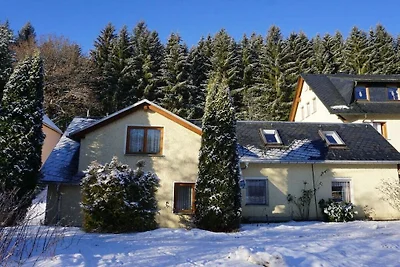 Ferienhaus mit 1 Schlafzimmer