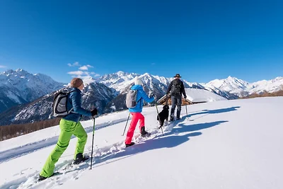 Ferienhaus in Obervellach nahe Skigebiet