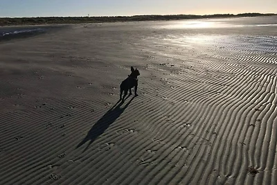 Kuća za odmor Dopust za oporavak Læsø