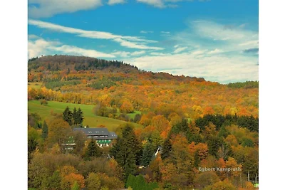 Lift view Altenberg