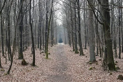 Gemutliches Refugium in Marielyst -- By Traum...