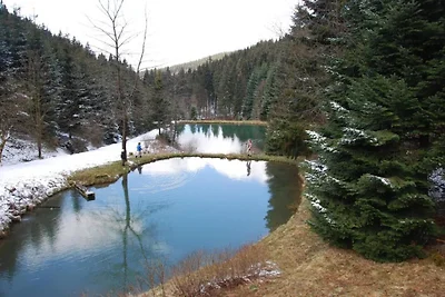 Gemütliches Chalet an den Skipisten