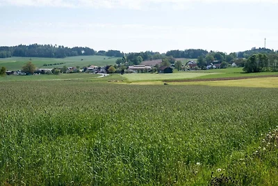 Auf dem Biobauernhof Mayerhofer