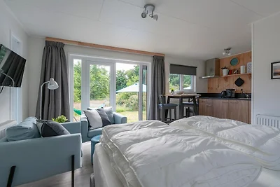 Chalet auf Texel nahe Strand und Wald