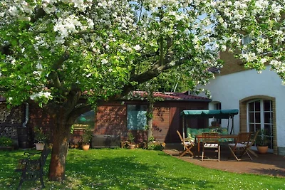 Sous le vieux pommier