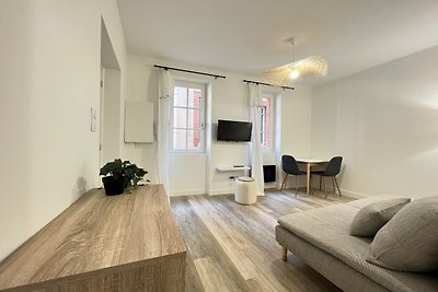 Gemütliche 2-Zimmer-Wohnung in Toulouse