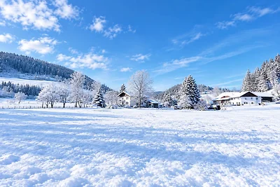 Chalet in Zweinitz nahe Skipisten