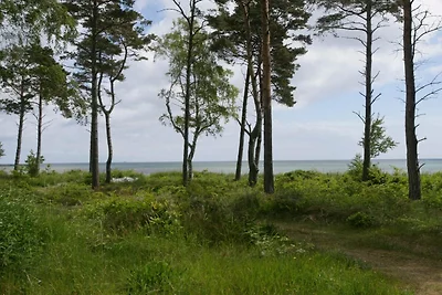 8 Personen Ferienhaus in Nexø-By Traum