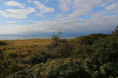 4 persone case ad Skjern