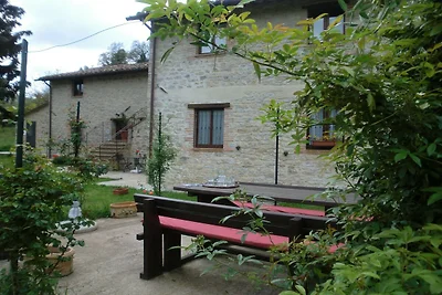 Modernes Ferienhaus mit Garten
