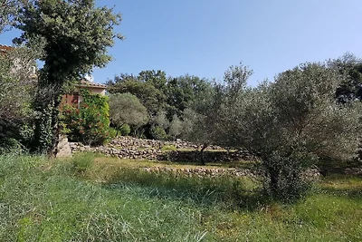 Holiday home in Carces with swimming pool