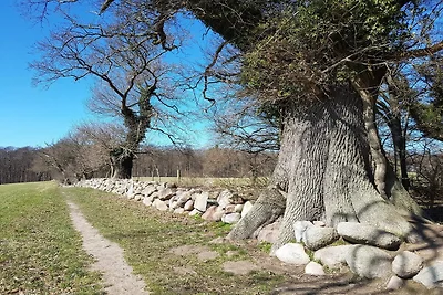 4 Personen Ferienhaus in Vordingborg-By Traum