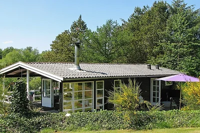 4 Personen Ferienhaus in Højslev