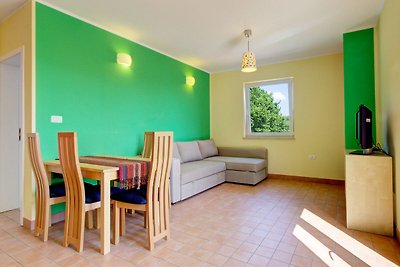 Mod Apartment in Truske Slovenia with Shared...