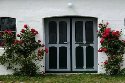 Ferienhaus Mühle Catharina