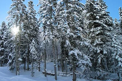 3 Teile für 4 Personen
