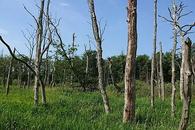 10 Personen Ferienhaus in Fårvang-By Traum