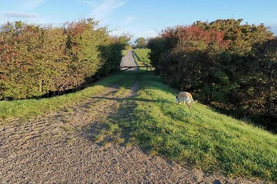 8 Personen Ferienhaus in Dannemare-By Traum