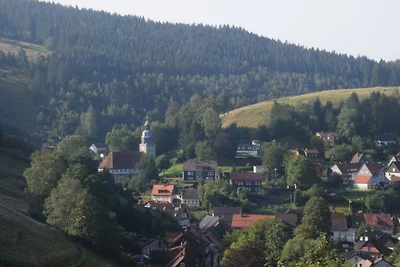 Gemütliche Ferienwohnung im Harz