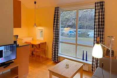 3 persoons vakantieparkhuis in Lærdal