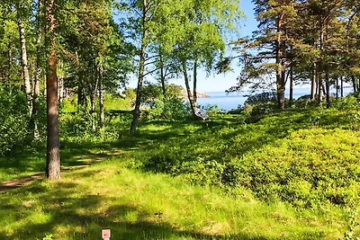 4 stelle case ad GRISSLEHAMN-By Traum