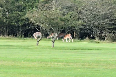 Strandflucht in der Ho-Bucht -- By Traum...