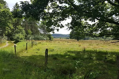 Luminosa Oasi Cottage a Silkeborg-By Traum