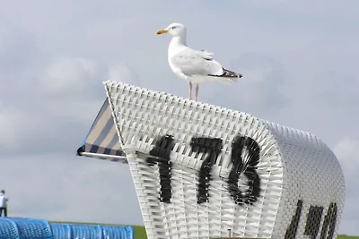 Schצnes Ferienhaus in Zierow mit Kamin