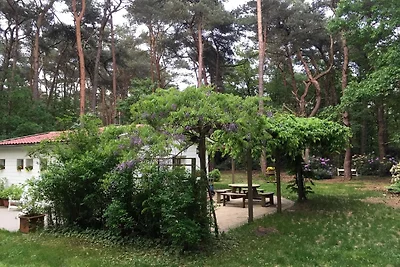 Bungalow in Lille in der Nהhe des...