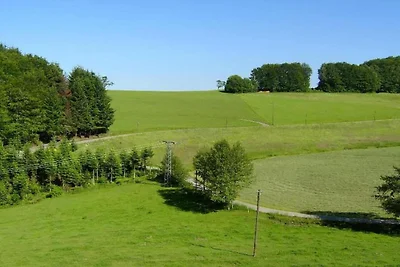 Vakantiehuis in Hofstetten met terras
