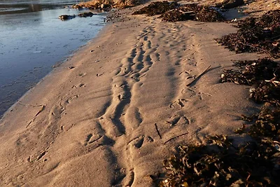 4 Personen Ferienhaus in Haderslev-By Traum