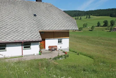 Zipfelhanisenhäusle