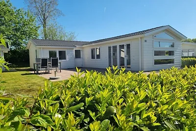 Ferienhaus in Velsen-zuid mit Terrasse
