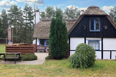 6 Personen Ferienhaus in Læsø-By Traum