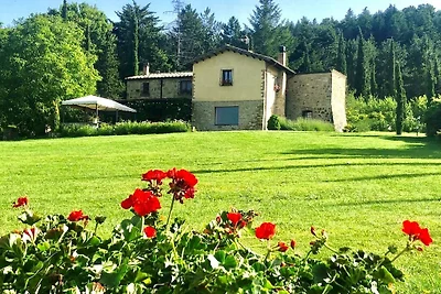 Apartment in Cetona mit privatem Pool