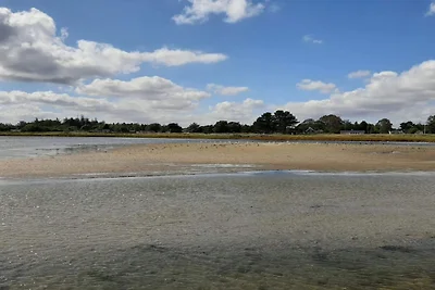 4 Sterne Ferienhaus in Hals-By Traum