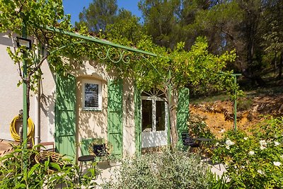 Ex ovile con piscina a Cotignac