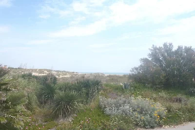 Farbenfrohe Häuser in Strandnähe