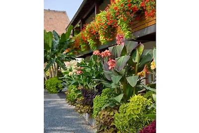Ferienwohnung im Sonnenhof