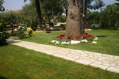 Licul Moderne retraite