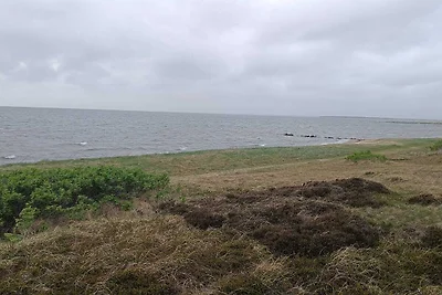 Serenite en Bord de Mer a Skaven Strand-By...