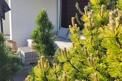 Ferienhaus Erholungsurlaub Altefähr