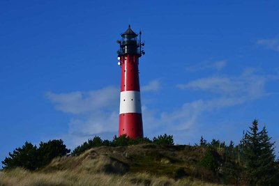 Ferienwohnung in Westerland auf Sylt